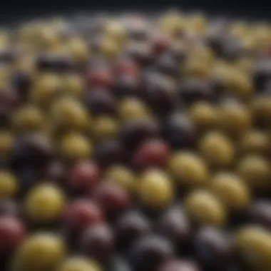 Assorted Varieties of Olives for Oil Production An assortment of olives representing different varieties used for oil production