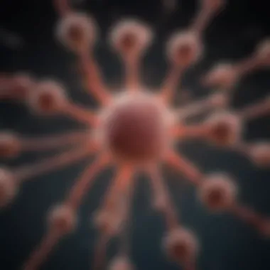ACE Protein and Disease Mechanisms ACE protein's role in disease mechanisms
