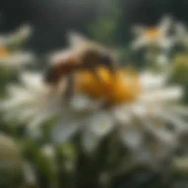 Role of Pollinators Pollinators like bees contributing to the health of ecosystems