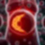 Understanding Brown Fat Physiology Detailed illustration of brown fat cells and their functions in metabolism