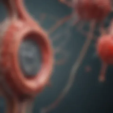 Infographic on pathophysiological mechanisms connecting kidney cancer and high blood pressure
