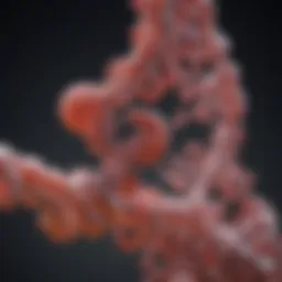 The Kuhl 16S rRNA Gene: A Comprehensive Analysis Introduction