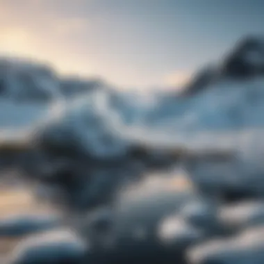 Ecosystem Vulnerability Wildlife affected by climate change in polar regions