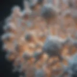 Calcium structure illustrating its role in biochemical processes