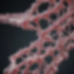 Collagen molecular structure showcasing its importance in joint health
