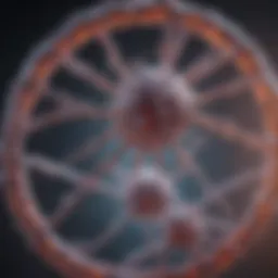 Molecular structure of HPV DNA
