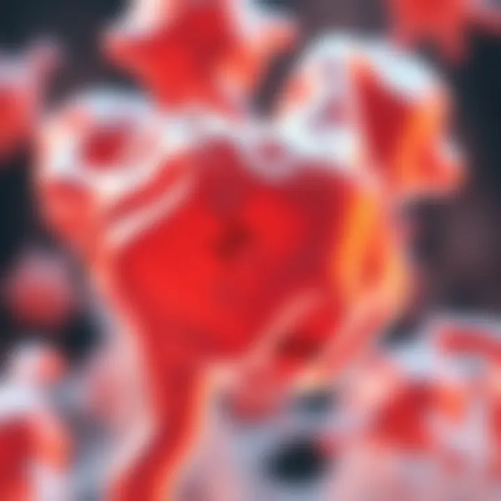 Glutaraldehyde in Tissue Engineering Graphic representation of applications of glutaraldehyde crosslinking in tissue engineering.