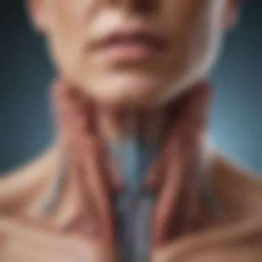 Thyroid Gland Anatomy and TSH Connection Detailed diagram illustrating the thyroid gland's anatomy and its connection to TSH