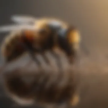 Best Practices for Formic Acid Application Best practices for using formic acid in apiculture