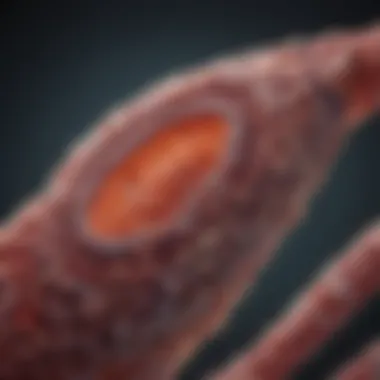 Emerging Therapeutic Options Emerging therapies for small bowel adenocarcinoma