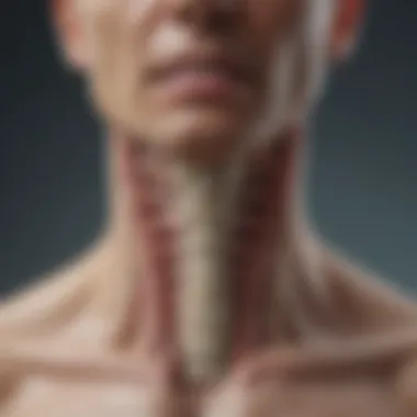 Comprehensive Treatment Options for Calcium Deposits in the Spine Diagram depicting treatment options for spinal calcium deposits