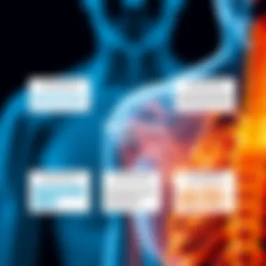 Treatment Options for Rheumatism Diagram highlighting treatment options for rheumatism.