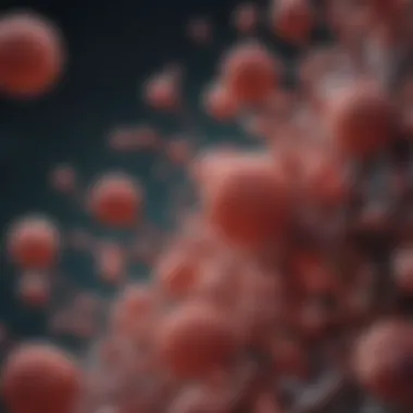 Diagram illustrating the mechanism of immunotherapy