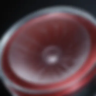 Troponin T Diagnostic Research Findings Research findings on troponin T's diagnostic capabilities