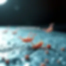 Diagram illustrating ultrasonic waves interacting with fouling organisms.