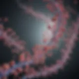 Visualization of acetyl lysine antibodies interacting with target proteins