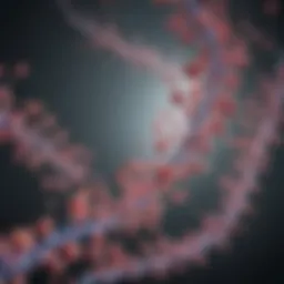 Visualization of acetyl lysine antibodies interacting with target proteins