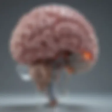 Visual representation of fetal brain development affected by alcohol exposure