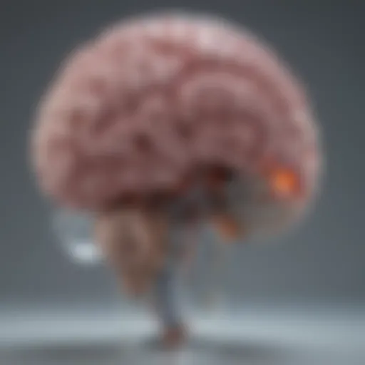 Visual representation of fetal brain development affected by alcohol exposure