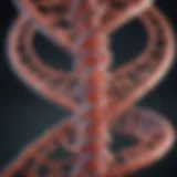 Illustration of the ALK gene structure and its variants
