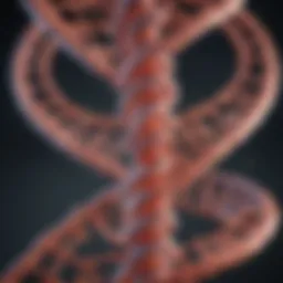 Illustration of the ALK gene structure and its variants