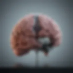 An overview of brain health research metrics