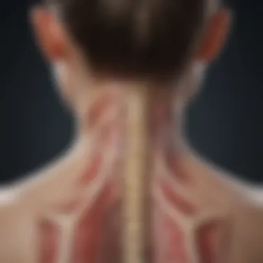 Symptoms of Spinal Ankylosis Diagram showing symptoms associated with ankylosis of the spine