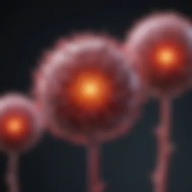 Diagnostic Criteria for B Cell Cancer Flowchart of diagnostic criteria for B cell cancer