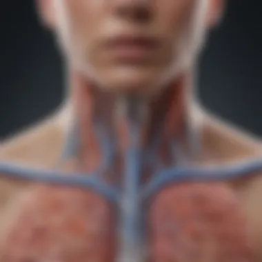 Respiratory System and Bacterial Interaction Diagram depicting the respiratory system with bacteria