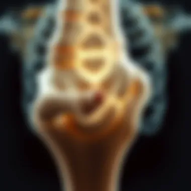 Notable Understanding Bone Metastases: Insights into ICD-10 Classification Notable Understanding Bone Metastases: Insights into ICD-10 Classification