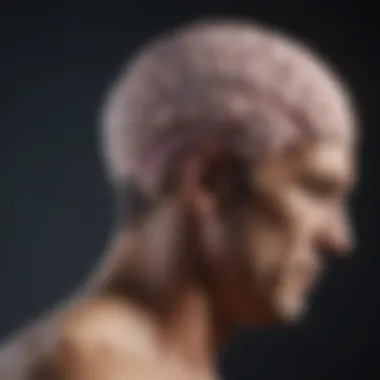 Therapeutic Approaches for Brain Health Illustration of potential therapeutic approaches for brain health