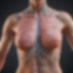 Diagram illustrating lymphatic system involvement in breast cancer
