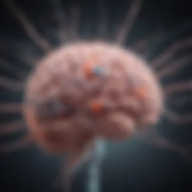Pathways of Cancer Metastasis to the Brain Diagram showing the pathways of cancer spread to the brain