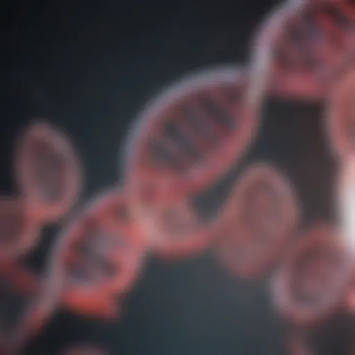 Visual representation of cfDNA extraction from plasma