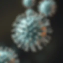 Understanding Chlamydia and the Efficacy of Antibiotics in Treatment Introduction