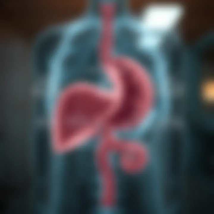 Key Risk Factors for Cholangiocarcinoma Graphic representation of risk factors associated with cholangiocarcinoma