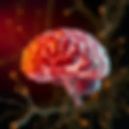 Neuroanatomy highlighting ADHD brain function