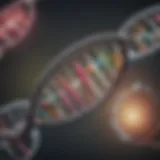 Conceptual illustration of DNA methylation