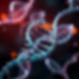 DNA double helix structure