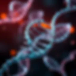 DNA double helix structure