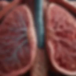 Illustration depicting the structure of healthy versus emphysematous lungs