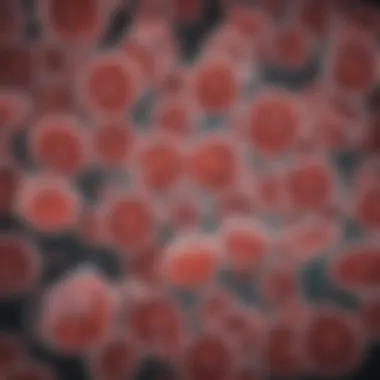 Antibiotic resistance patterns of E. coli