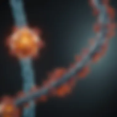 Visual representation of molecular pathways affected in CML