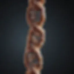 Illustration of the Philadelphia chromosome structure