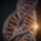 A detailed illustration showcasing the double helix structure of DNA