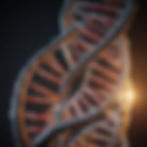 A detailed illustration showcasing the double helix structure of DNA