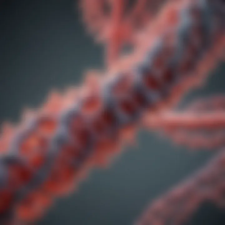 Graph showing the relationship between germ line mutations and evolutionary changes