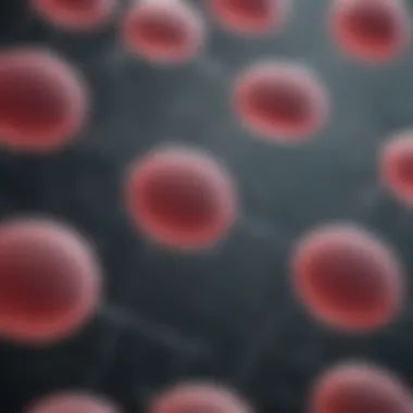 Schematic representation of cell culture in GFR Matrigel