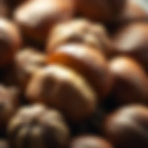 Close-up view of hazelnuts showcasing their texture and color