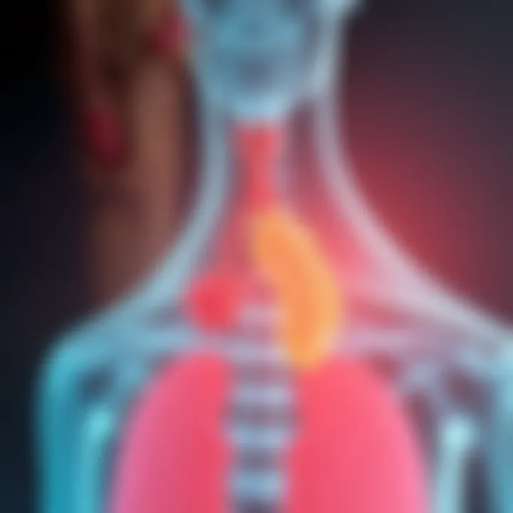 Diagram explaining the physiological mechanisms of allergies